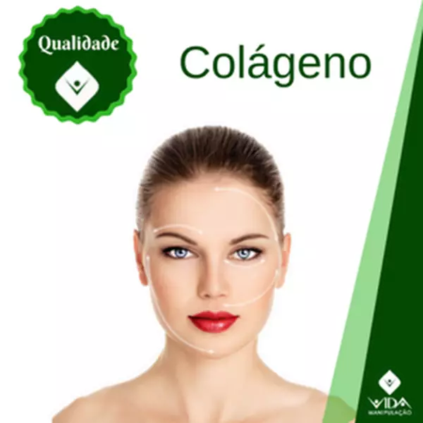 Imagem de Colágeno Hidrolisado em Pó 450g